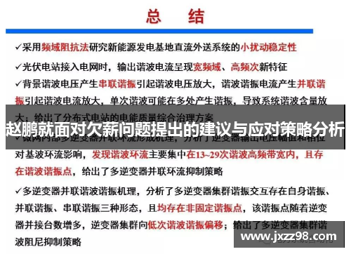 赵鹏就面对欠薪问题提出的建议与应对策略分析