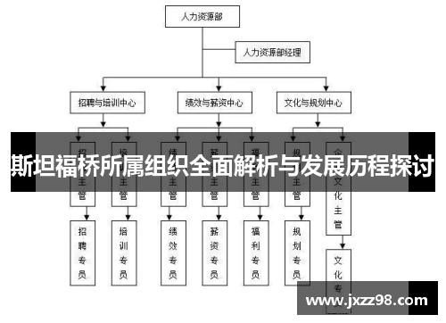 斯坦福桥所属组织全面解析与发展历程探讨